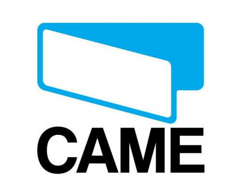 Плата блока управления CAME 3199ZBX-E24