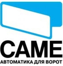 Плата блока управления CAME 3199 ZG 2