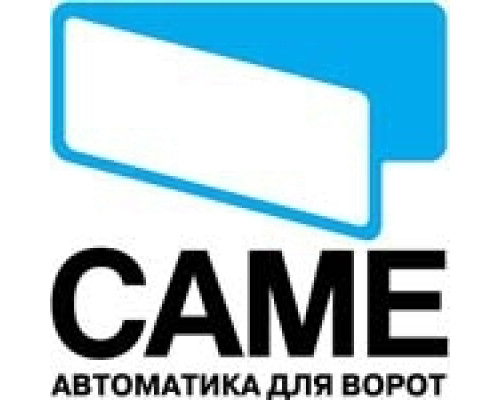 Плата блока управления CAME 3199 ZG 2