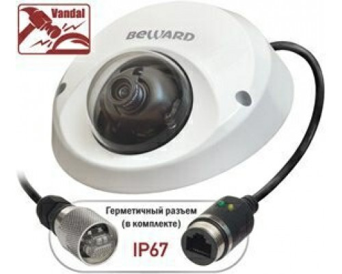 Уличная антивандальная купольная IP камера BD4640DM (2,8)